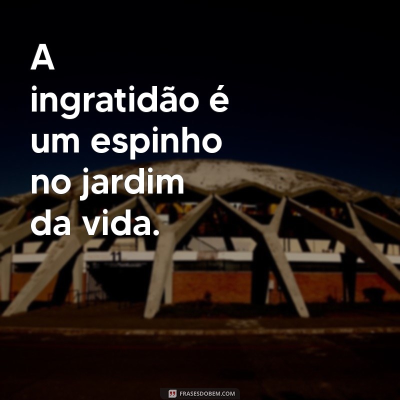 Frases Inspiradoras de Deus para Refletir sobre a Gratidão 