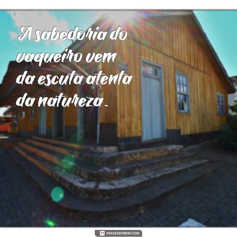 Frases Inspiradoras de Vaqueiro: A Sabedoria do Sertão em Palavras 