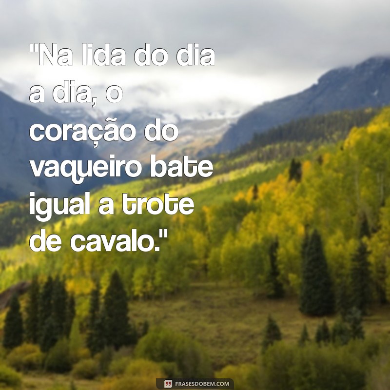 frases vaqueiro 