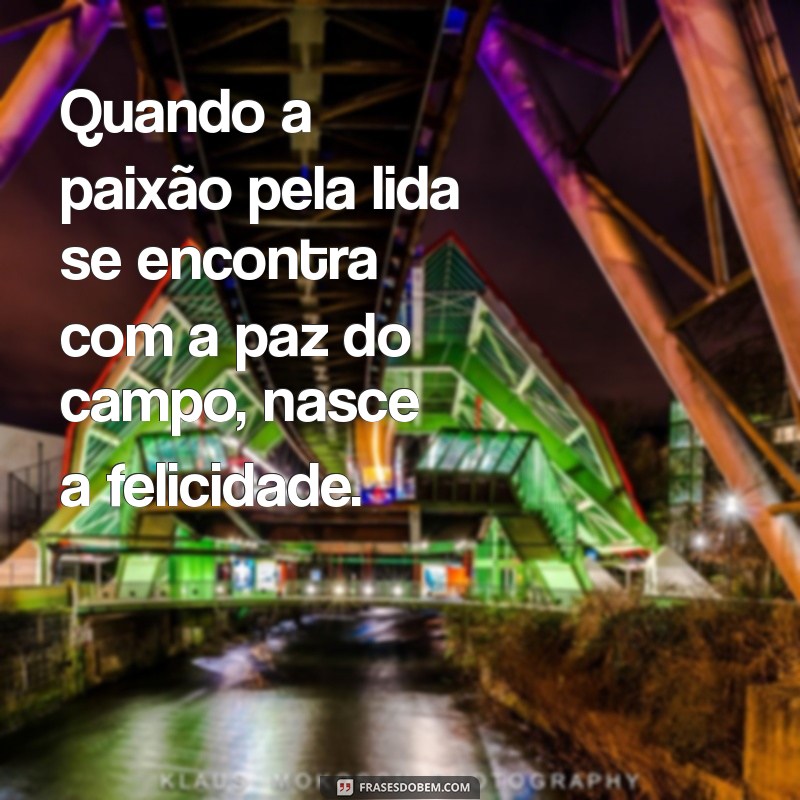 Frases Inspiradoras de Vaqueiro: A Sabedoria do Sertão em Palavras 