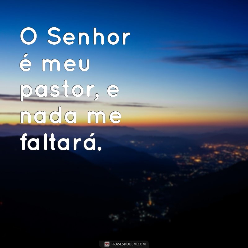 o'senhor e meu pastor O Senhor é meu pastor, e nada me faltará.