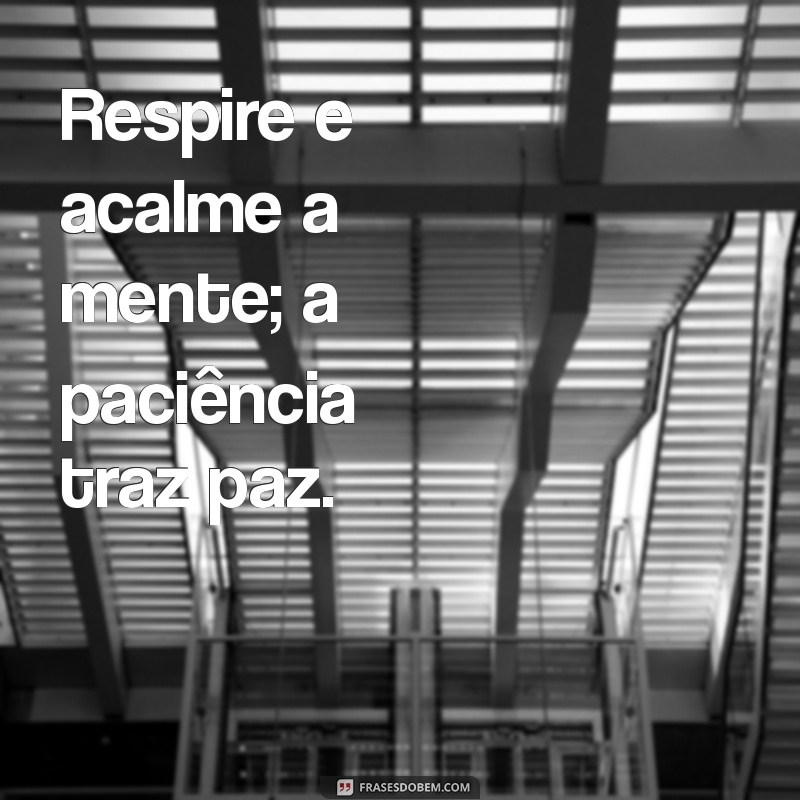 Como Cultivar a Calma e a Paciência na Sua Vida Diária 