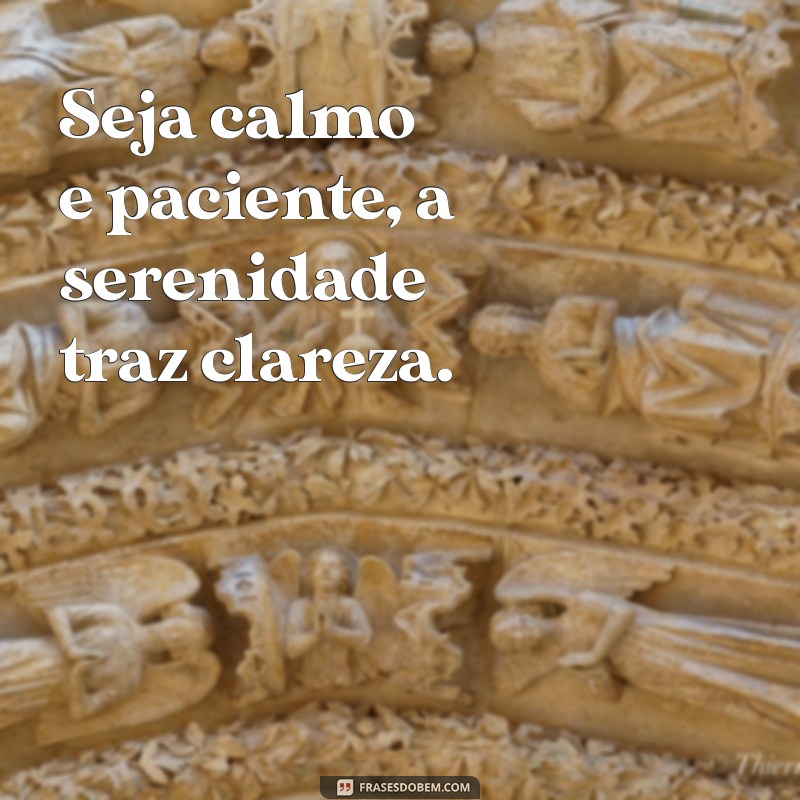 seja calmo e paciente Seja calmo e paciente, a serenidade traz clareza.