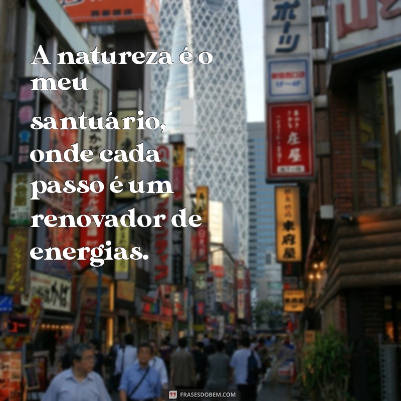 Frases Inspiradoras para Recarregar as Energias na Natureza 