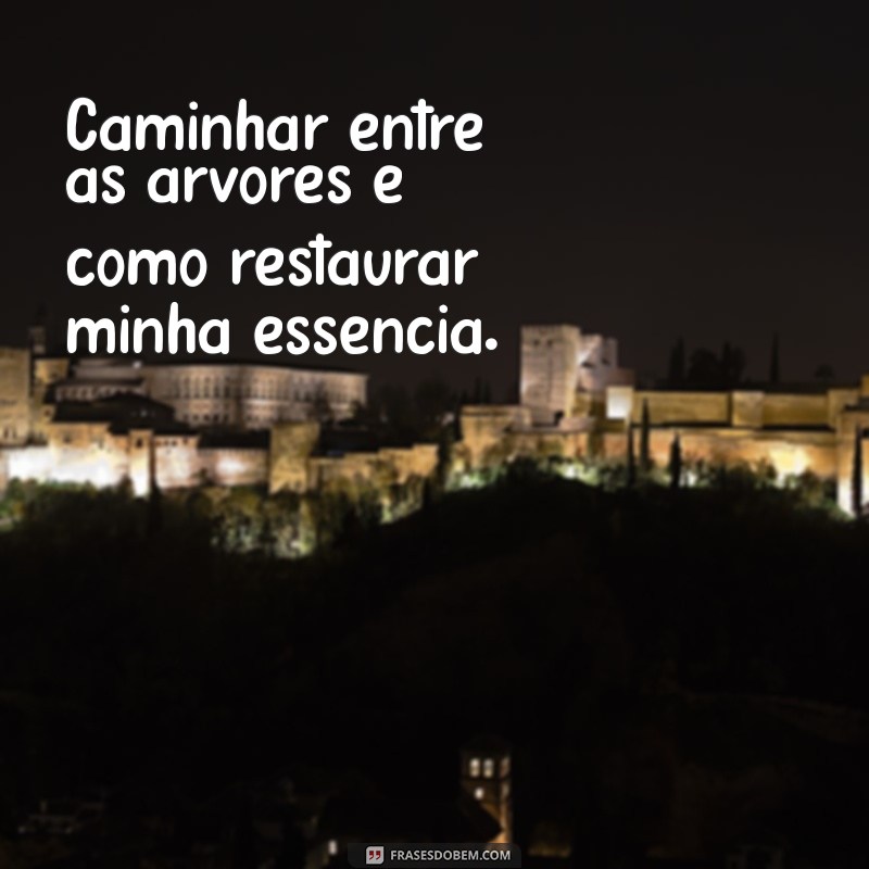 Frases Inspiradoras para Recarregar as Energias na Natureza 