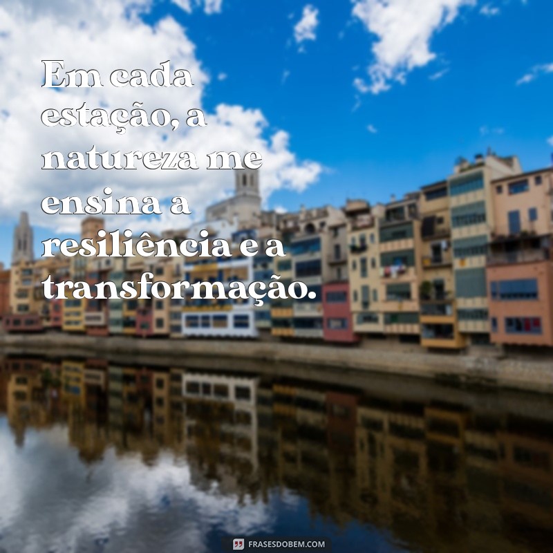 Frases Inspiradoras para Recarregar as Energias na Natureza 