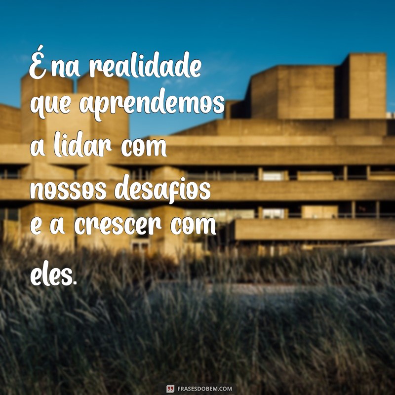 Frases Inspiradoras para Voltar à Realidade e Reencontrar seu Caminho 