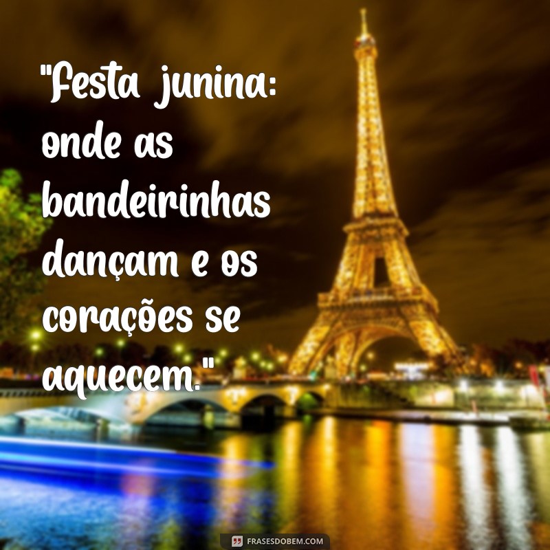 frases para foto junina 