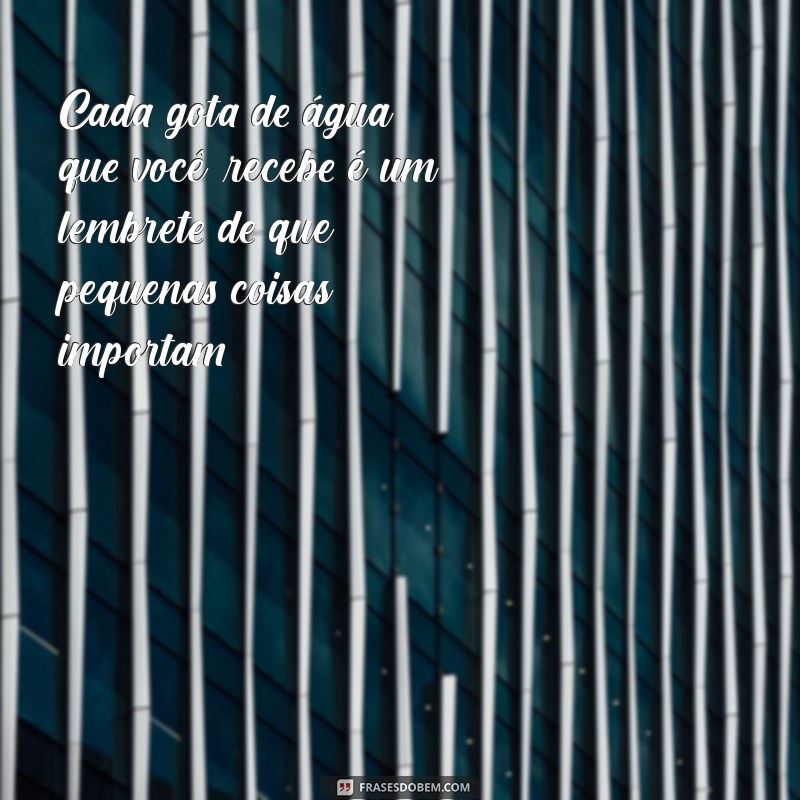 Frases Inspiradoras para Suculentas: Cuidados e Mensagens que Encantam 