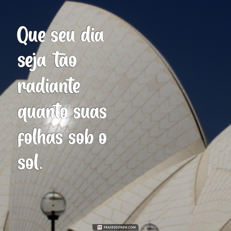 Frases Inspiradoras para Suculentas: Cuidados e Mensagens que Encantam 