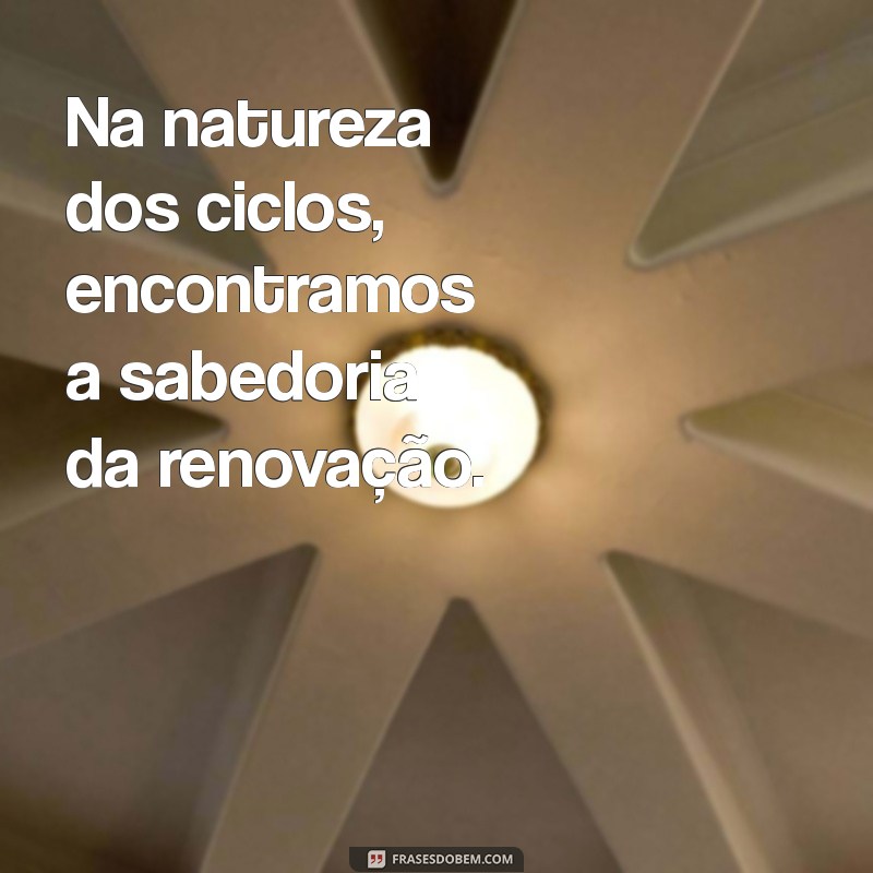 Frases Inspiradoras para Celebrar um Novo Ciclo de Vida 