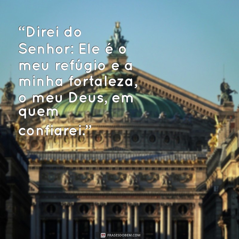 salmo 91 versículo 2 “Direi do Senhor: Ele é o meu refúgio e a minha fortaleza, o meu Deus, em quem confiarei.”