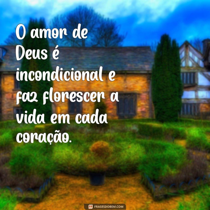 Frases Evangélicas Inspiradoras: Reflexões para Fortalecer sua Fé 