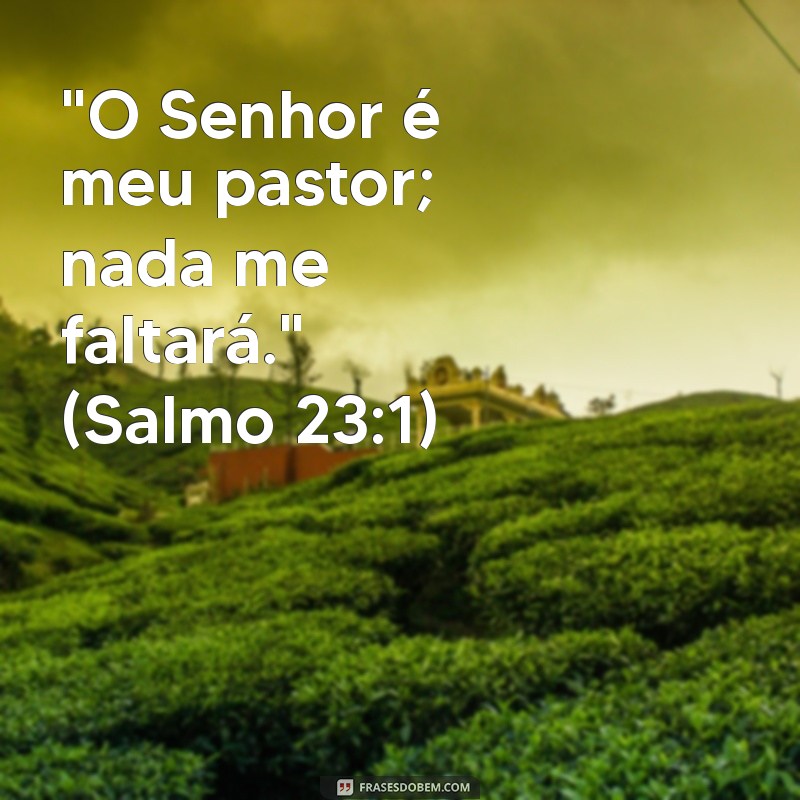 frases bíblicas curtas salmos 