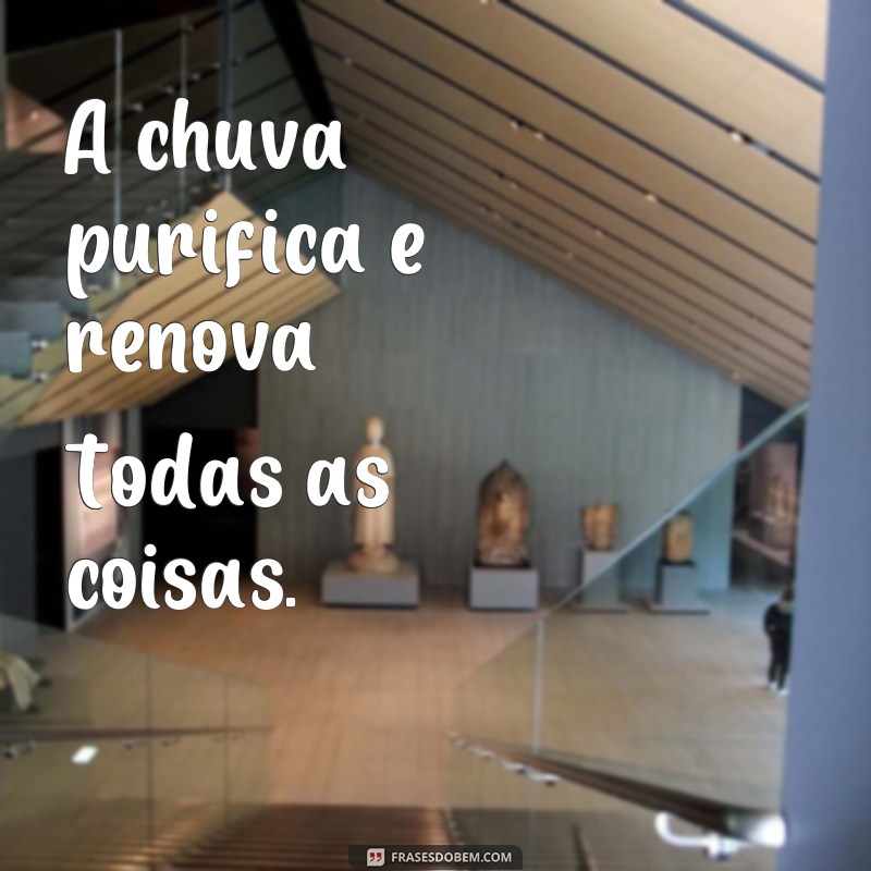 Descubra as Melhores Frases para Celebrar um Dia Chuvoso 