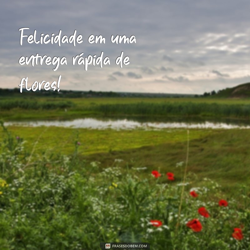 Floricultura com Entrega Rápida: Flores Frescas na Sua Porta em Poucas Horas 