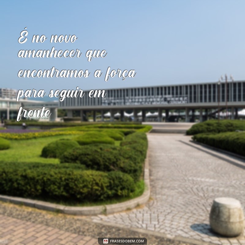 Descubra as melhores frases para um novo amanhecer cheio de inspiração! 