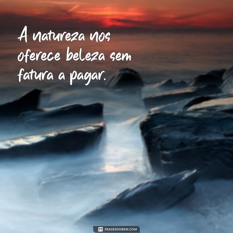 As Melhores Frases de Graça para Inspirar Seu Dia 