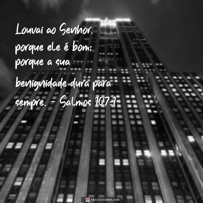 28 Frases Bíblicas Inspiradoras sobre Gratidão para Refletir e Agradecer 