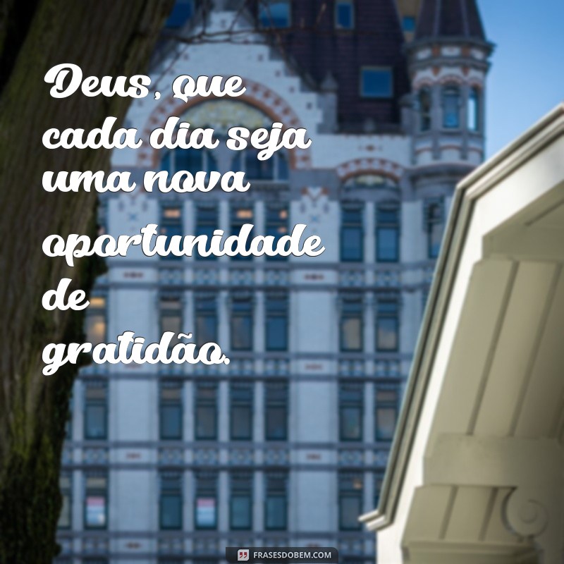 frases a deus Deus, que cada dia seja uma nova oportunidade de gratidão.