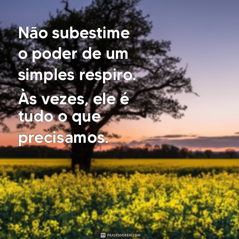 Frases Inspiradoras para Superar Crises de Ansiedade: Encontre Conforto e Esperança 