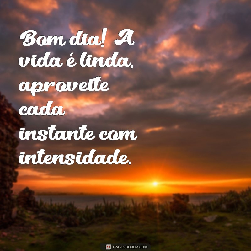 Frases Inspiradoras de Bom Dia: Imagens para Começar o Dia com Positividade 