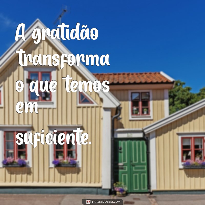 frases curtas agradecimento A gratidão transforma o que temos em suficiente.