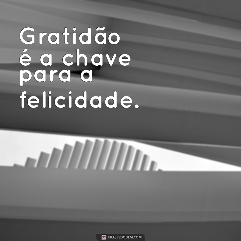 50 Frases Curtas de Agradecimento para Expressar sua Gratidão 