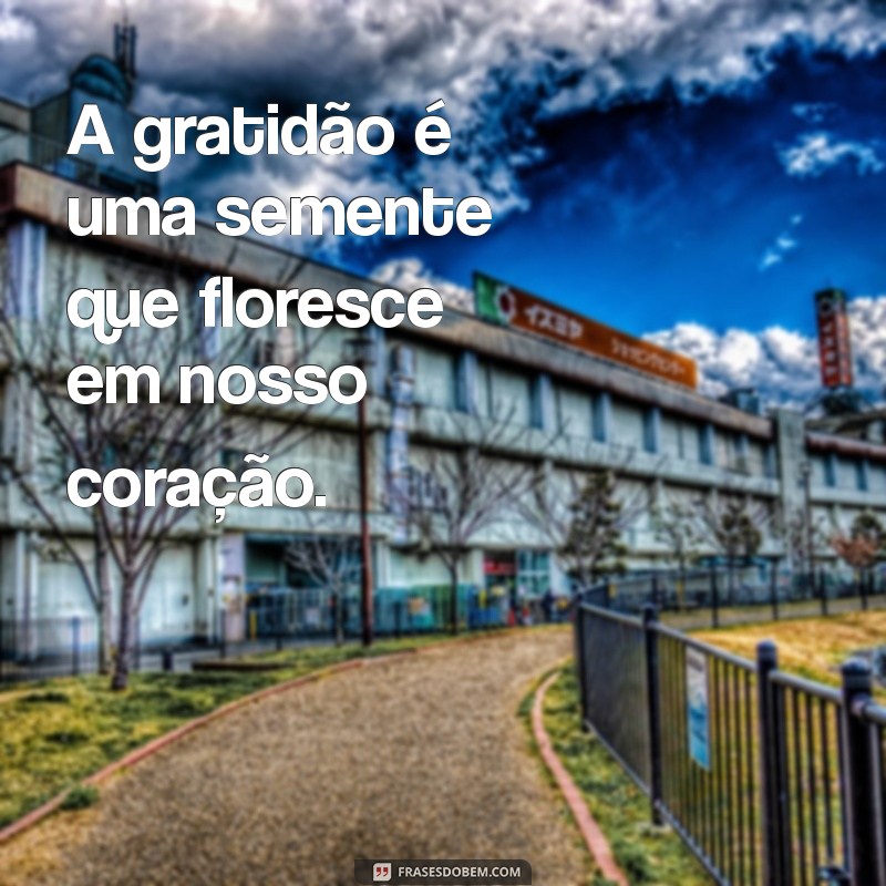 Descubra 30 Frases Inspiradoras sobre Gratidão para Transformar sua Vida 