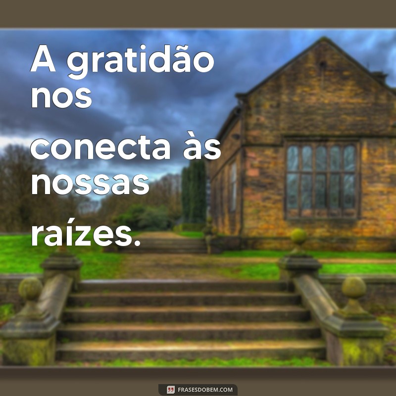 Descubra 30 Frases Inspiradoras sobre Gratidão para Transformar sua Vida 