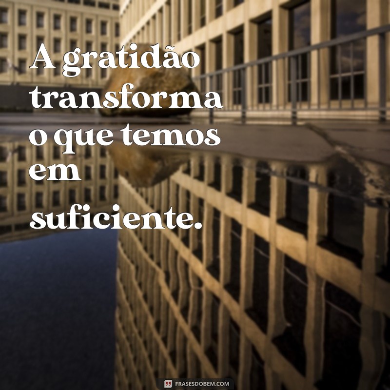 frases com a palavra gratidão A gratidão transforma o que temos em suficiente.