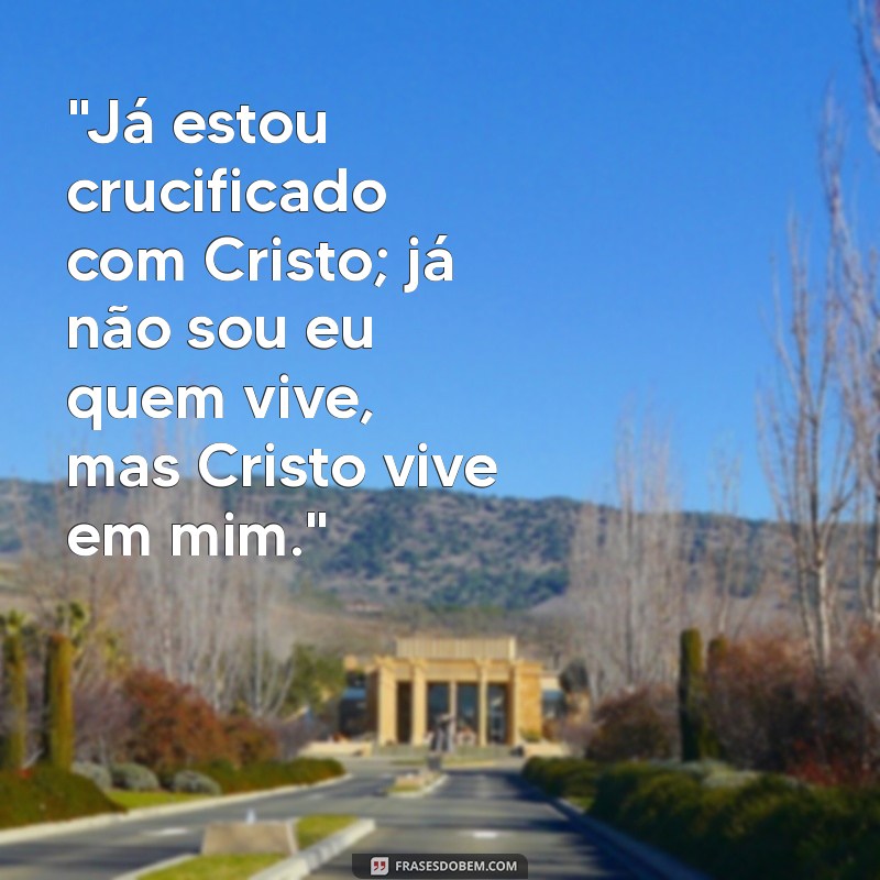 ja estou crucificado com cristo bíblia 