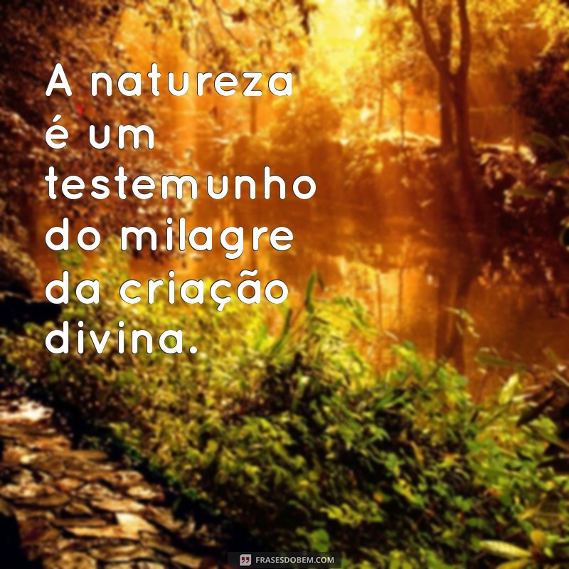 Frases Teístas Inspiradoras: Reflexões sobre a Fé e a Espiritualidade 