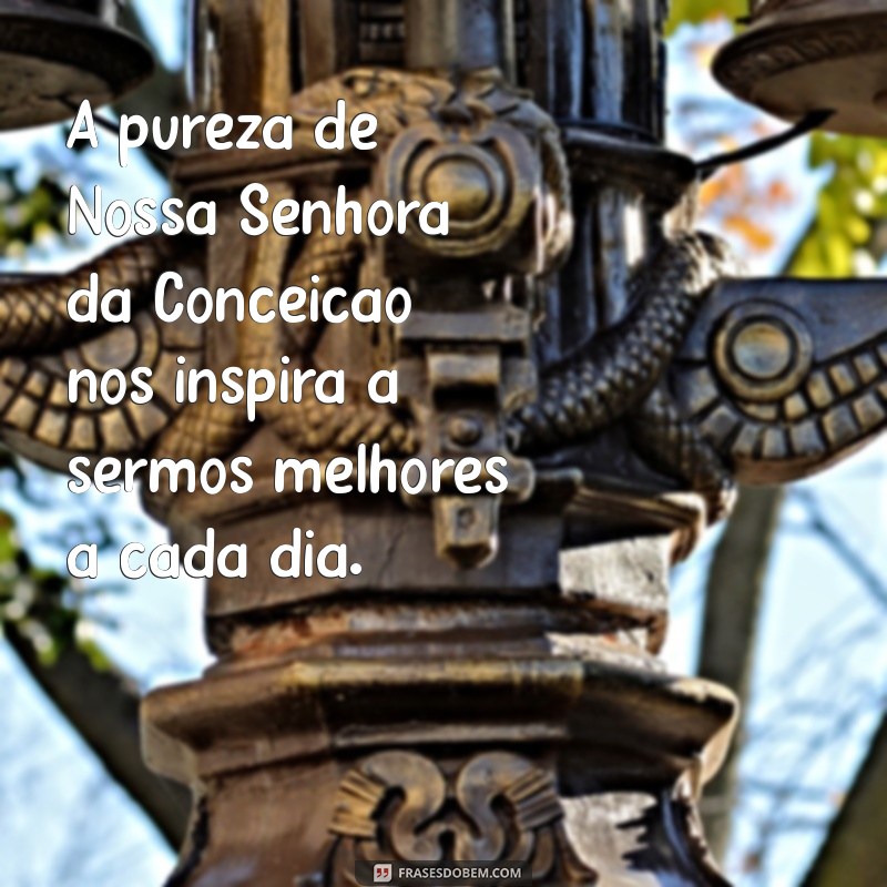 Frases Inspiradoras sobre Nossa Senhora da Conceição para Refletir e Compartilhar 