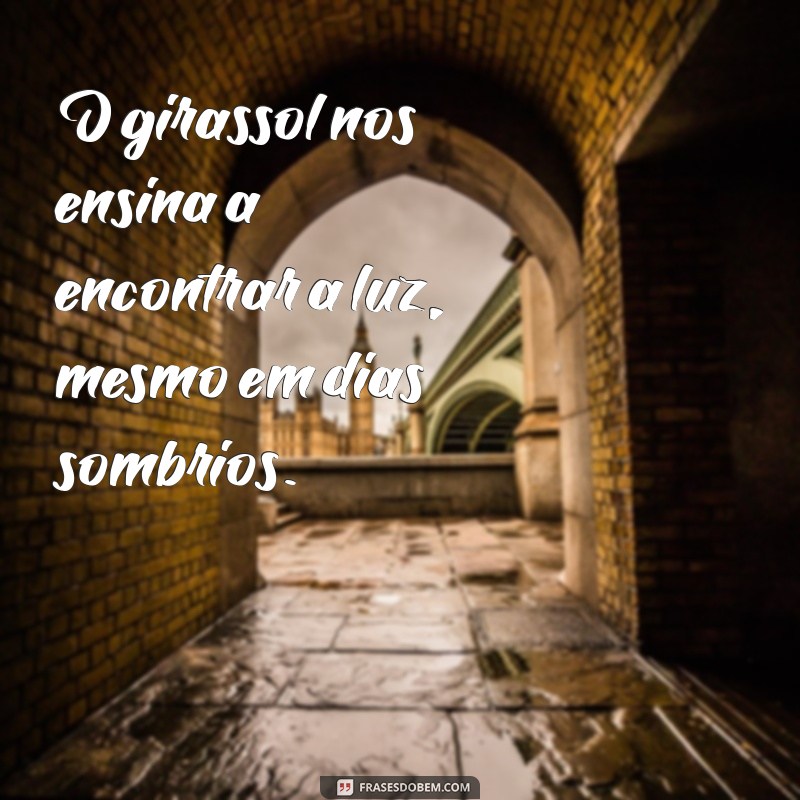 Frases Inspiradoras com Girassóis: Imagens PNG para Baixar 