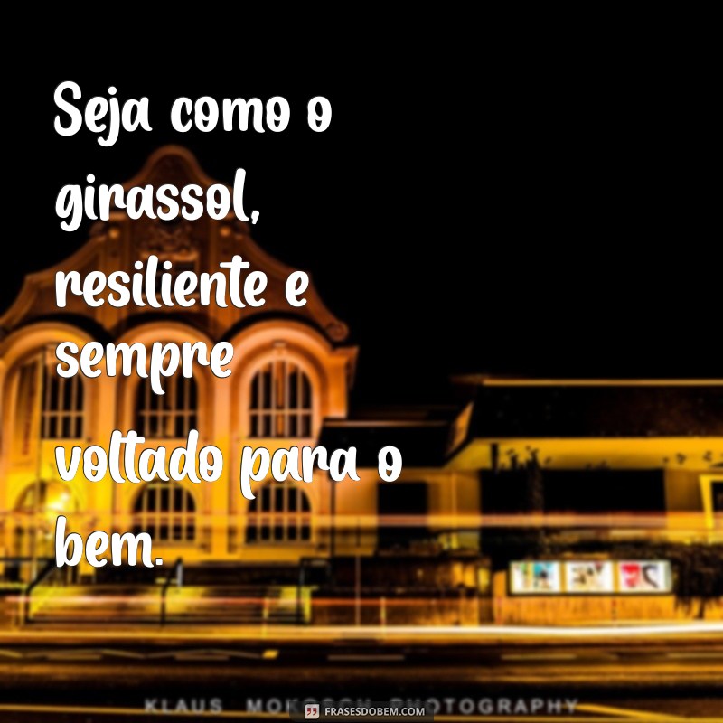 Frases Inspiradoras com Girassóis: Imagens PNG para Baixar 