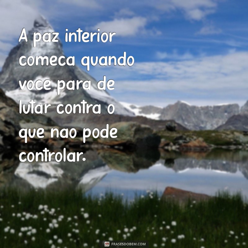 paz interior frases A paz interior começa quando você para de lutar contra o que não pode controlar.