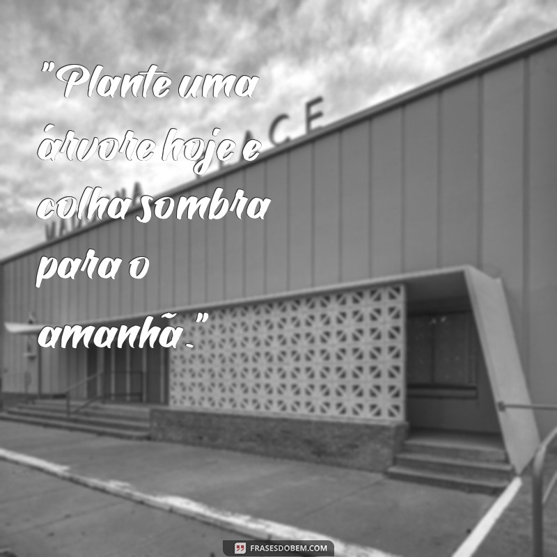 frases dia da arvore 