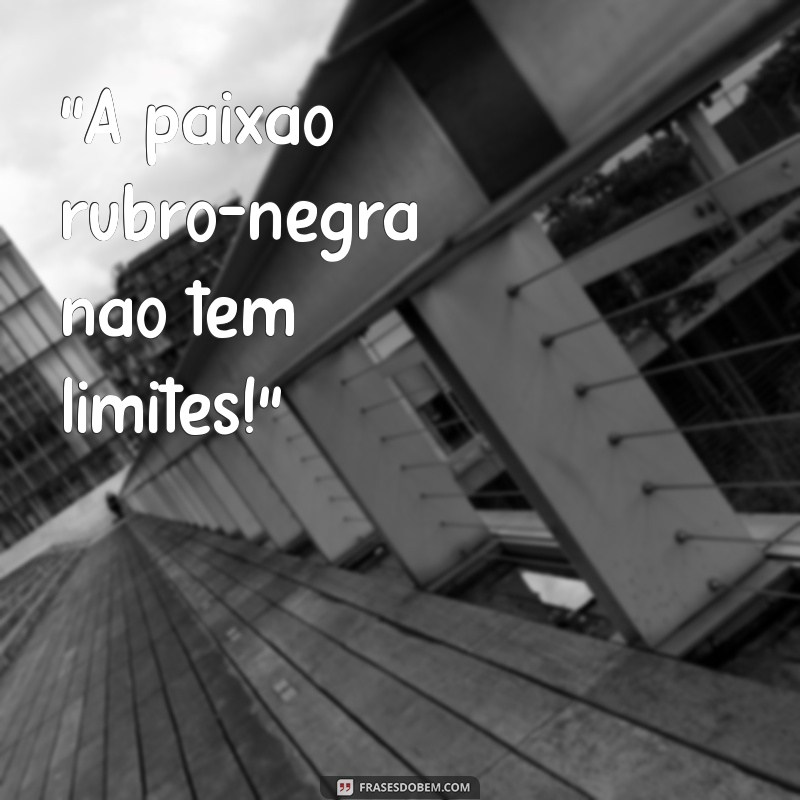 frases para foto do flamengo 