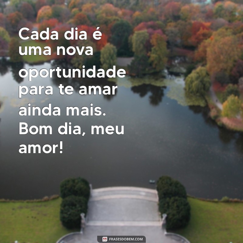 As Melhores Imagens de Bom Dia Meu Amor para Encantar Seu Dia 