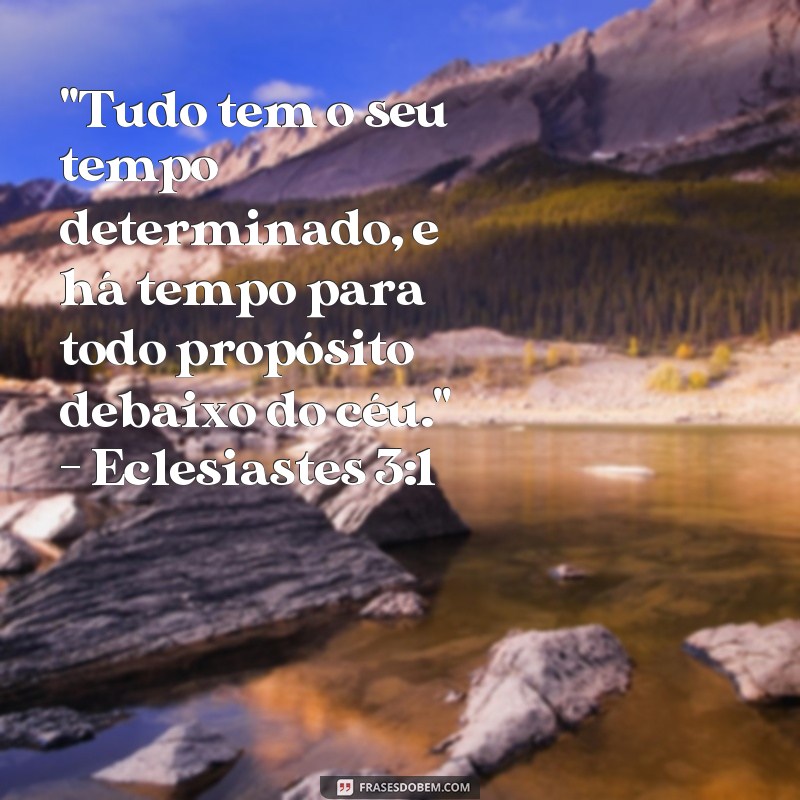 frases tempo de Deus versículo 