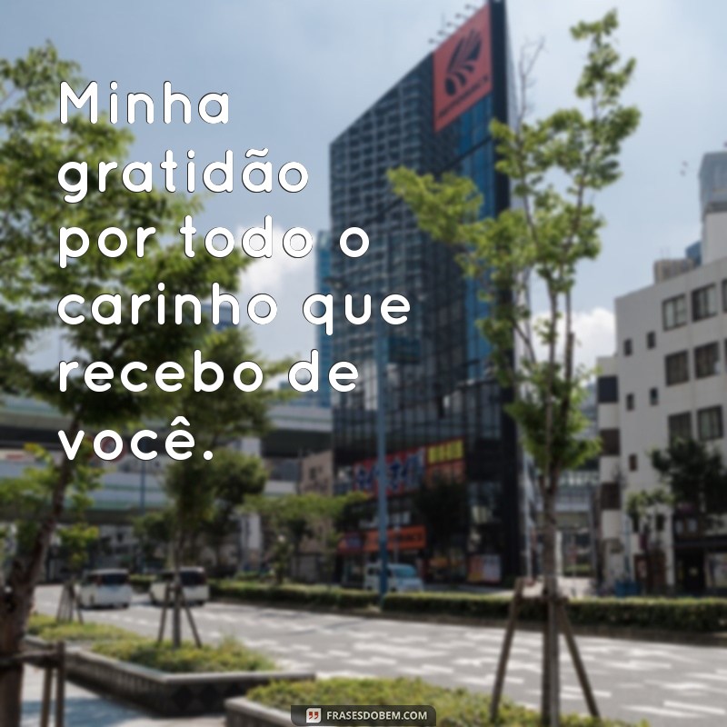 Encante-se com as mais belas frases de agradecimento 