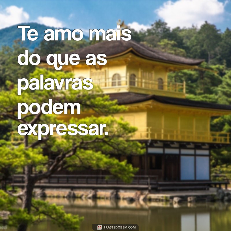 te amos Te amo mais do que as palavras podem expressar.