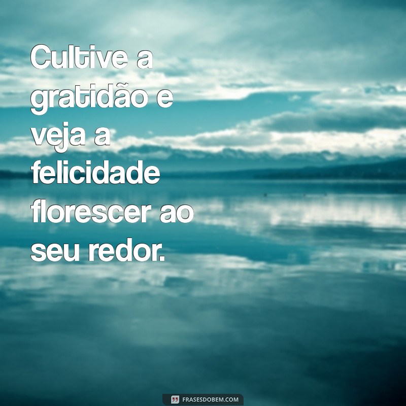 Descubra as Melhores Frases Motivacionais para Espalhar Felicidade 