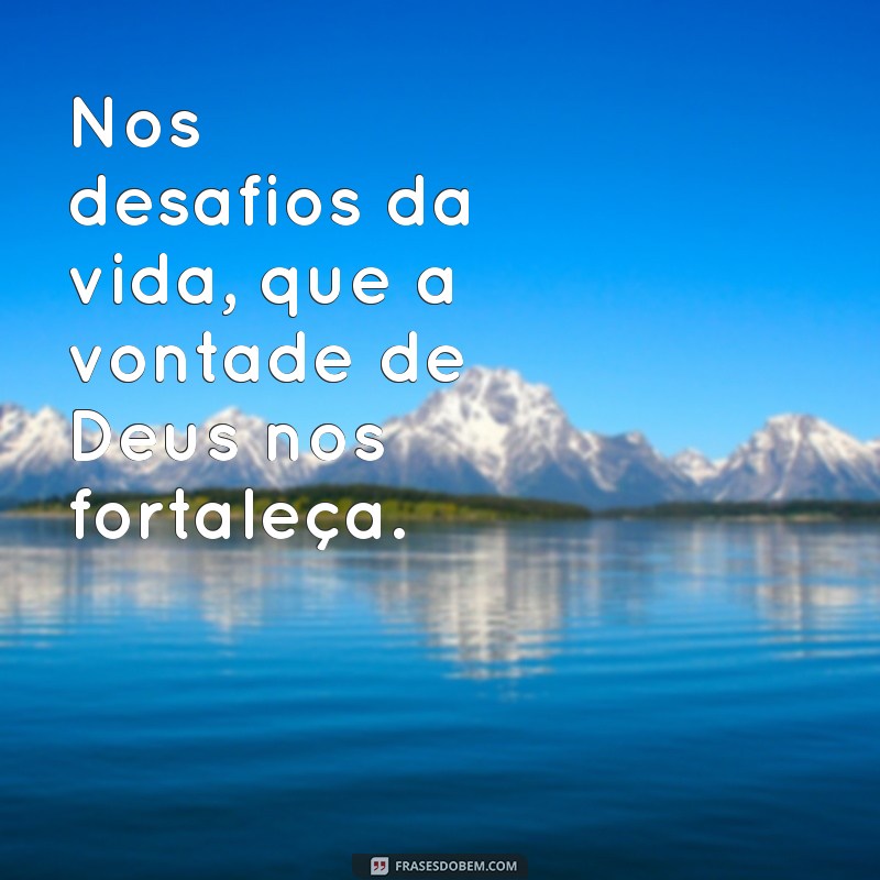 Entendendo a Vontade de Deus: Como Aceitar e Seguir Seus Planos 