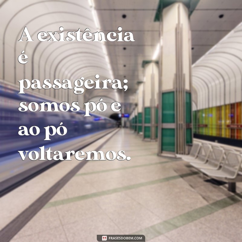 Reflexões sobre a Vida: A Sabedoria de Somos Pó e ao Pó Voltaremos 