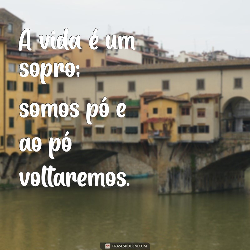 Reflexões sobre a Vida: A Sabedoria de Somos Pó e ao Pó Voltaremos 