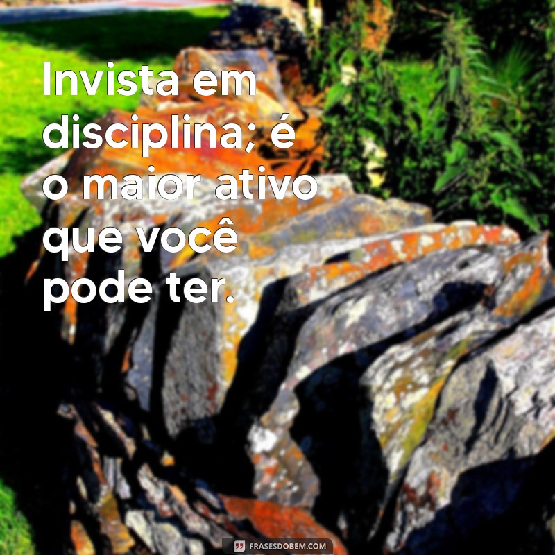 23 Frases Motivacionais Poderosas para Cultivar a Disciplina na Sua Vida 