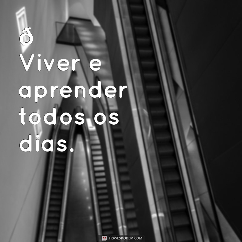 mensagem para colocar na bio do whatsapp 🌟 Viver e aprender todos os dias.