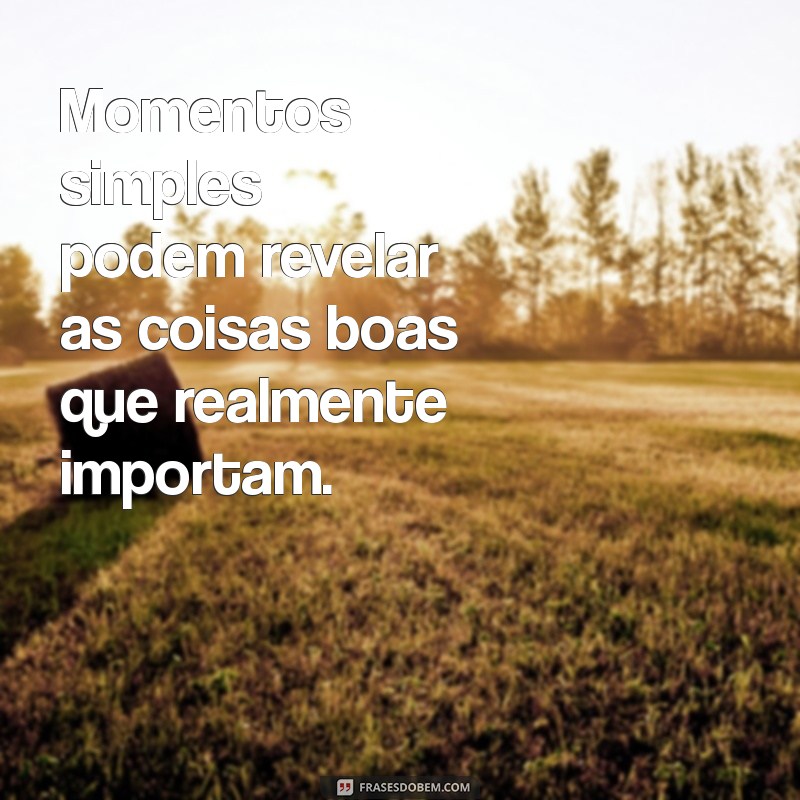 Frases Inspiradoras: Como Coisas Boas Acontecem na Sua Vida 